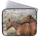 Search for imaging touch electronics Equestrian