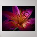 Search for gardener posters Flora