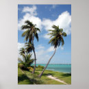 Search for bahia posters Florida