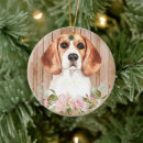 Search for beagle memorial Watercolor