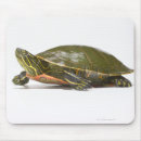 Search for painted turtles mouse mats Reptile