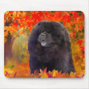 Search for chow chows electronics Puppy