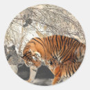 Search for black tiger stickers Wildlife