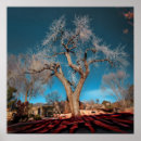 Search for mexico history posters Landscape