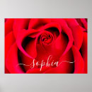 Search for rose macro posters Photography
