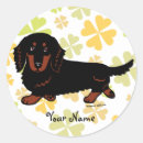 Search for long haired dachshund stickers Doxie