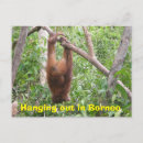 Search for funny postcards Unique