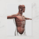 Search for human face postcards Tendon