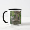 Search for stone castle mugs Blarney