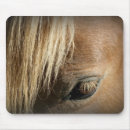 Search for forelock Eye