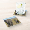 Search for reserve coasters Maasai mara national reserve