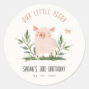 Search for little pig stickers Cute