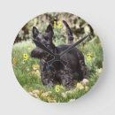 Search for round watches Usa