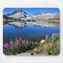 Search for mountain flowers mouse mats Photography