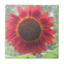 Search for sunburst tiles Summer