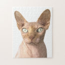Search for sphynx cat puzzles Cute