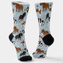 Search for spaniel socks Cute