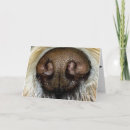 Search for naughty birthday cards Adult