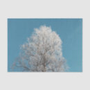 Search for blue willow tissue paper Nature