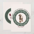 Search for loss of pet dog cards Forever in our hearts