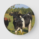 Search for cow horn clocks Animal