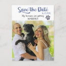 Search for funny dog save the dates Modern
