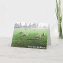Search for blenheim cards Animals