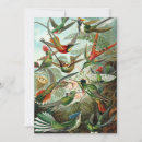 Search for hummingbirds invitations Jungle