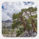 Search for forest city stickers Blue
