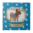 Search for pet photo tiles Keepsake