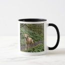 Search for several mugs Outdoors