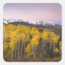 Search for colorado rockies stickers Telluride
