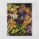 Search for challenges postcards Floral