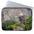 Search for predator laptop cases Raptor