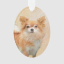 Search for long haired chihuahua christmas tree decorations Puppy
