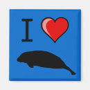Search for manatee magnets Florida