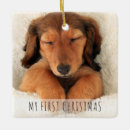 Search for text christmas tree decorations Puppy