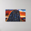 Search for afghans art Afghan hounds