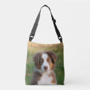 Search for shepherd handbags Cute