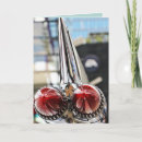 Search for fin cards Caddy