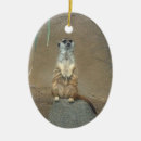 Search for meerkat christmas tree decorations Wildlife