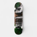 Search for view skateboards Fall