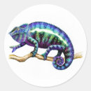 Search for chameleon stickers Wildlife