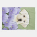 Search for labrador tea towels Retriever