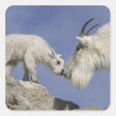 Search for evans Jaynes gallery