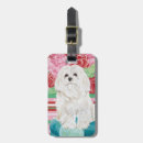 Search for portrait accessories Dogs