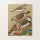Search for bird puzzles Avian