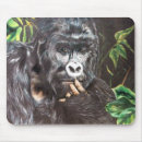 Search for gorrilla Monkey