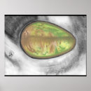 Search for avocado posters Kitchen