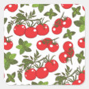 Search for tomato stickers Hand drawn